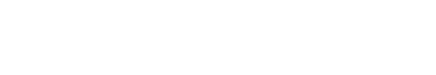 PROJECT BLUE
